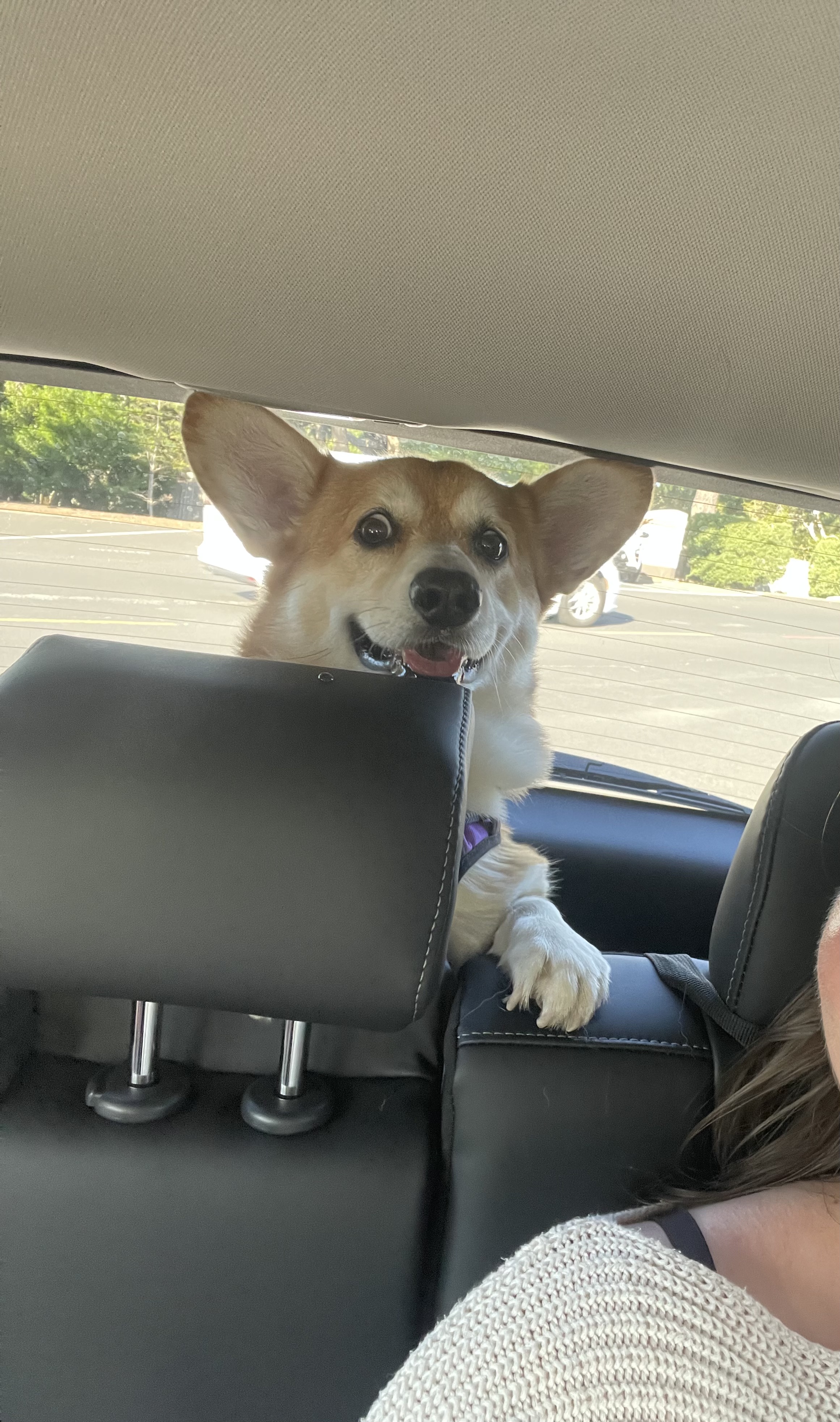 Jala smiling, peeking out from behind the backseat of a van.